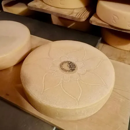 Alp Es-cha Dadour فندق مبيت وإفطار