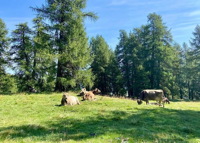 Alp Es-cha Dadour Bed & Breakfast 3*