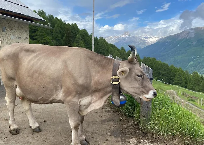 Alp Es-cha Dadour Madulain