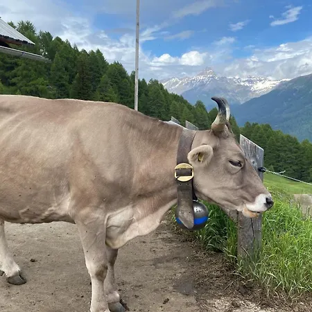 Alp Es-cha Dadour Madulain