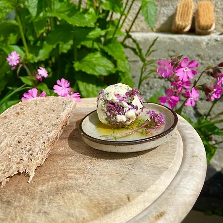 Bed & Breakfast Alp Es-cha Dadour