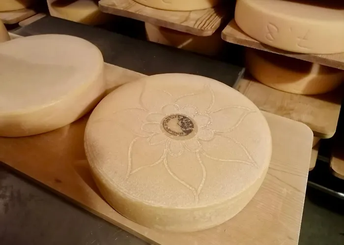 Alp Es-cha Dadour Panzió